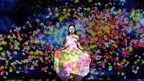 Tokyo: teamLab Planets & Toyosu Fish Market Guided Tour