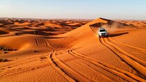 Red Dunes Desert Safari Shared Tour