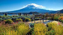 Hakone Private day tour to Mt. Fuji with English guide