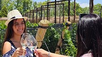 Tour wineries Lujan de Cuyo