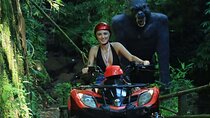 Ubud ATV Gorilla Cave Waterfall Monkey Forest and Rafting Trip