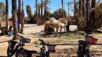 EBike Adventure and Sunset in Marrakech Palmeraie