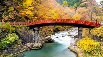 Private Nikko Tour with Hotel Pickup