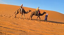 3-Day Marrakech to Merzouga Desert Tour