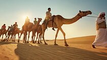 Marsa Alam Desert and Sea Camel Riding Adventure