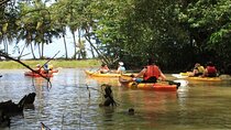 Kayak Adventure on the Roseau River in St Lucia