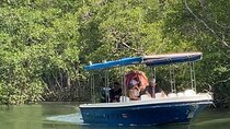 Tour Marina Las Baulas National Park Estuary By Panga Boat!