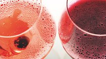 Exclusive Lambrusco Experiences