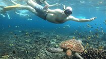Amazing Nusa Penida Snorkeling Experience