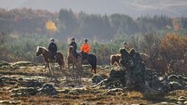 Exclusive Horseback Ride from Reykjavik