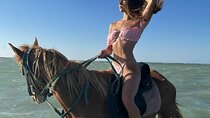 Ride the Sands: Beach & Desert Horseback Experience in Hurghada