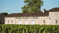 Day trip: Tour in Bordeaux and Trip to Medoc or Saint-Emilion