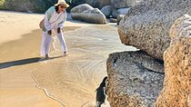 Half Day Adventure Penguin Encounter at Boulders Beach