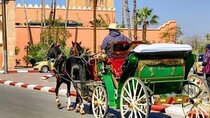 Marrakech! 1 hour traditional horse - drawn carriage tour