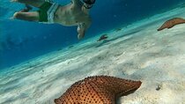 Discover El Cielo and Cozumel Snorkeling Adventure
