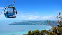 Melbourne Mornington Peninsula Private Trip include Tickets