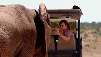 Half Day Guided Safari in Addo Elephant National Park
