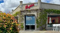 Discover Penfolds Magill Estate, Hahndorf & Carrick Hill Mansion 