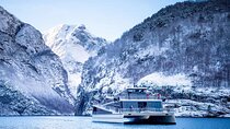 Winter Fjord Tour to Nærøyfjord, Flam and Stegastein from Bergen