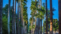 Private Rio Tour: Botanical Garden and Tijuca National Park