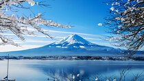 Mount Fuji Private Tour from Tokyo with English Speaking Driver