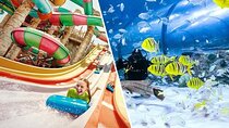 Yas Waterworld and The National Aquarium Tickets