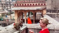 Jaipur Evening Tour with Monkey Temple and Block Print