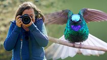 Endemic Birds of Sierra Nevada: A 4-Day Photography Tour