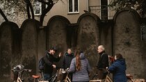 Discover Kraków by Bike with a Dutch guide