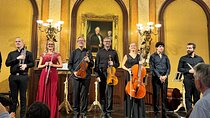 Vienna Private Classical Music Tour: Museum Entry & Concert