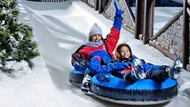 Ski Dubai Snow Plus Pass with Transfers