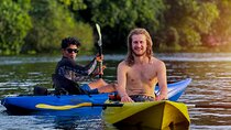 Kayaking in Kochi Guided Backwater and Mangrove Experience