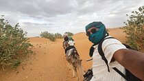 4 Day Desert Adventure from Fes to Marrakech