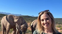 3-Day Cape Town Big Five Safari & Elephant Encounter