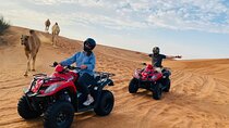Hurghada Desert Safari Quad Adventure, Bedouin Visit & Camel Ride