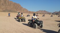 Explore the Desert in 3 Hours: Quads, Camels & Bedouin Culture