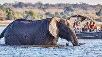 3-Day Victoria Falls and Chobe National Park Combo Safari