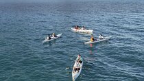 Dolphin kayaking tours Cape Town marine excursion