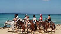 Horseback Riding on the Beaches of Punta Cana