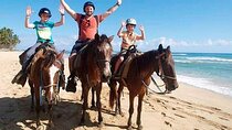 Horseback Riding on Punta Cana Beach with Transportation