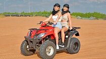 Thrilling Desert Safari with Camel Ride and Optional Quad Bike