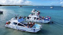 Private Cruise Party with Drinks and Snorkeling in Punta Cana