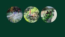 Triple Adventure Zipline Waterfalls & Buggy
