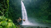 Explore Bali Landscapes with Private Car Tour