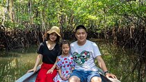 Bintan Mangrove and Fireflies Tour