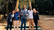 Mount Kilimanjaro Day Hike Through Marangu Gate