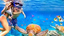 Full Day Tour Bali Blue Lagoon and East Bali Adventure 