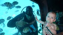 Semi-Submarine and Snorkeling Excursion with Transfer / Hurghada