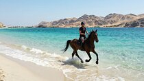 2 Hour Horseback Ride in Nabq Bay