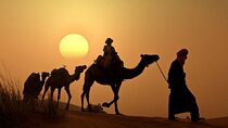 AGADIR: Sunset Camel Riding & BBQ Dinner 